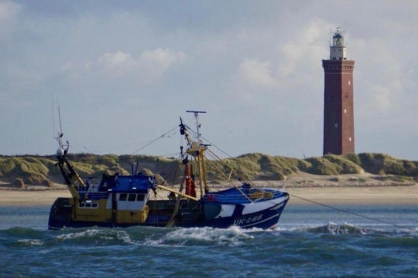 Caravan Stadstuin Goedereede Let Op De Badkamer Moet Met Andere Gasten Gedeeld Worden 外观 照片